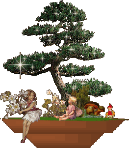 ELFENBAUM