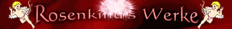 ani_rosenkind_feuerwerk_o_l
